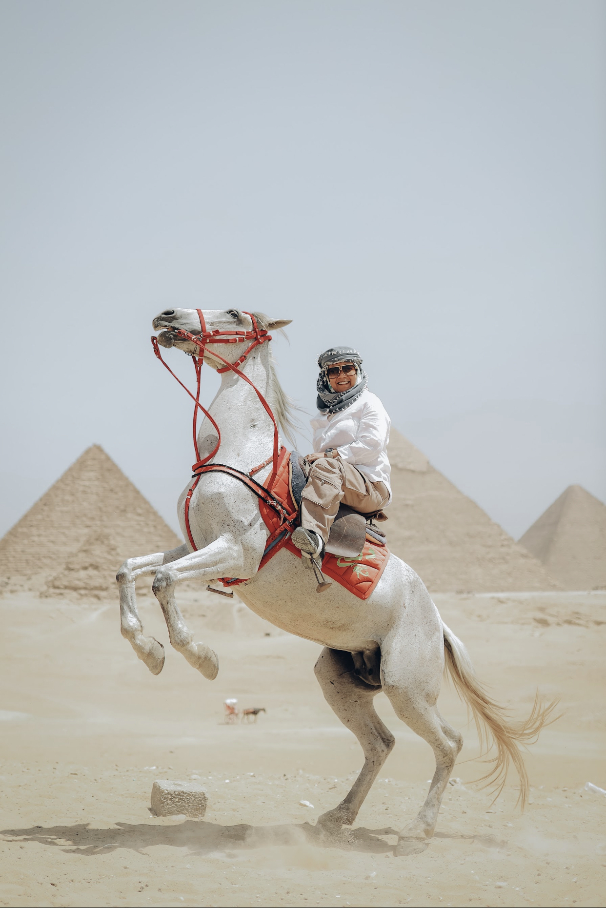 Pyramids Tour from the Airport Egypt Mo Tours