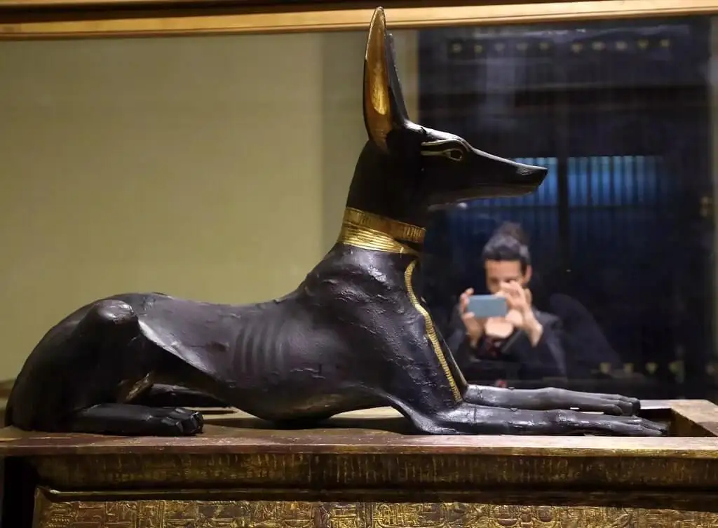 Statue of Anubis - Tutankhamun - Egypt Mo Tours
