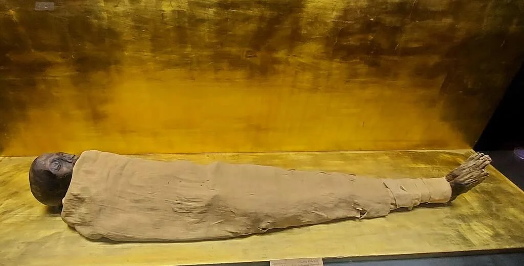 Mummy of King MerinRe - the old kingdom of ancient Egypt